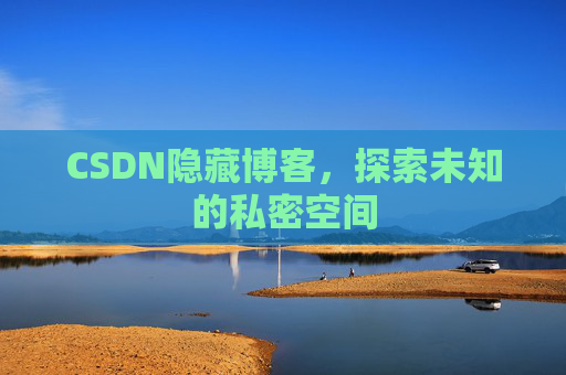 CSDN隐藏博客，探索未知的私密空间
